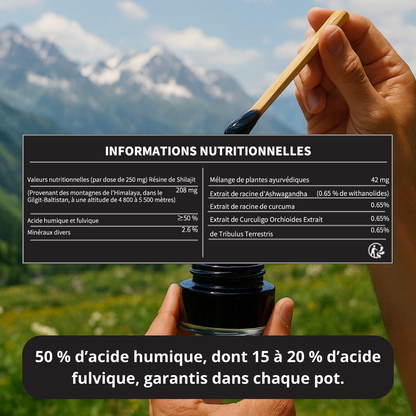 Résine de Shilajit Pure et Moderne