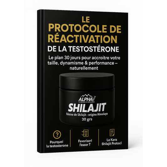 Le protocole de réaction de la testostérone