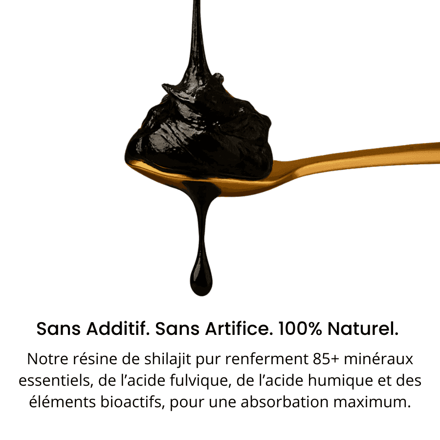 Shilajit AlphaV : Retrouvez votre puissance masculine
