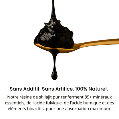 Shilajit AlphaV : Retrouvez votre puissance masculine