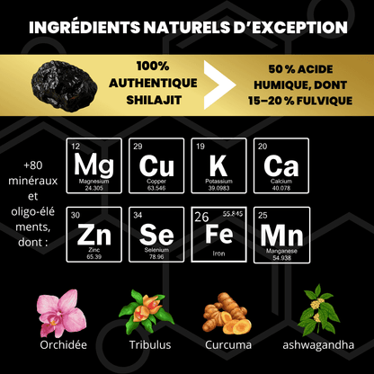 Shilajit AlphaV : Retrouvez votre puissance masculine