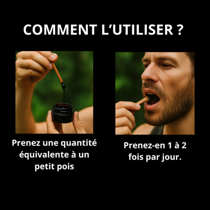Résine de Shilajit Pure et Moderne