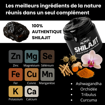 Résine de Shilajit Pure et Moderne